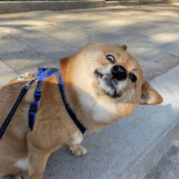 Enno's Bot Discord Bot Logo