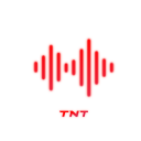 TnT Music Discord Bot Logo