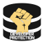 DeveloperProtection Discord Bot Logo