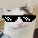 Dark Cat Discord Bot Logo