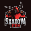 ShadowStorm Network Discord Bot Logo