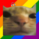 Cat Bot Discord Bot Logo