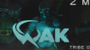 WAK Discord Server Banner