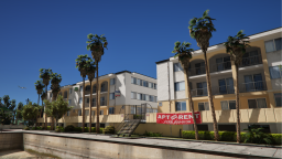 U1D GFX Discord Server Banner