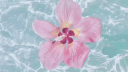 @ uverse Discord Server Banner