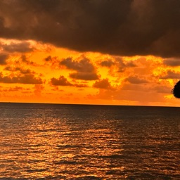 Knowzyys' Family Discord Server Banner