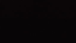 Arcane Lineage Discord Server Banner