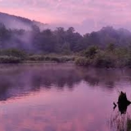 Lavender Lake Discord Server Banner