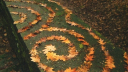 sapphic seasons 𓂂 ˚﹒🍂 Discord Server Banner