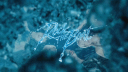 XG Discord Server Banner