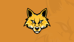 🦊 Lapex Network #SUMMER Discord Server Banner