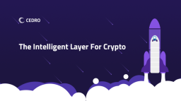 Cedro Finance Discord Server Banner