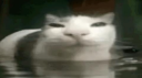 lesbian hangout Discord Server Banner