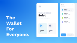 Suiet Discord Server Banner
