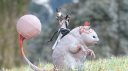 Criterion Dungeons Discord Server Banner