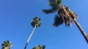 Ben Karmelo Discord Server Banner