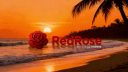 RedRose™ Discord Server Banner