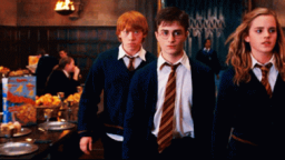 「 potter's rise 」 ! 𓂃 𓈒 Discord Server Banner