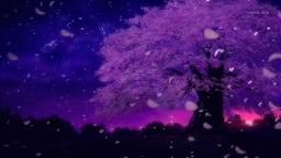 Moonrise Discord Server Banner