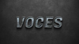 @voces Discord Server Banner