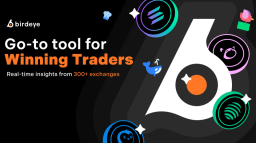 Birdeye Discord Server Banner