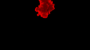 🔴  Red Eagle  🦅 Discord Server Banner