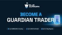 Blue Guardian Discord Server Banner