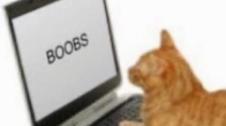meme Discord Server Banner