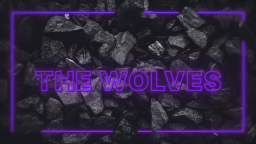 The Wolves Academy Discord Server Banner