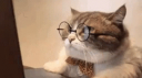 ME VIET HOA . COM Discord Server Banner