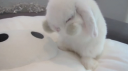 /slvts Discord Server Banner