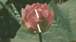 This Never Happened Discord Server Banner