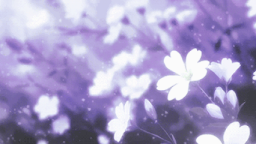 Nightbloom Discord Server Banner