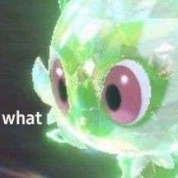 Pokemon Scarlet & Violet Trading Discord Server Banner