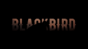 BLACKBIRD RP Discord Server Banner