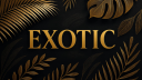 💝🤍ＥＸＯＴＩＣ🤍💝 Discord Server Banner