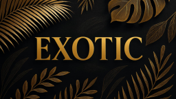 💝🤍EXOTIC🤍💝 Discord Server Banner