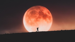 Angelos Wolfe Discord Server Banner