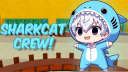 SharkCat Discord Server Banner