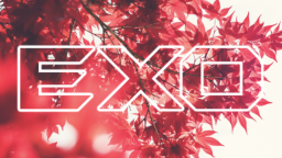 Exotic Discord Server Banner