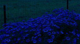 Ancel’s Optimization Hub Discord Server Banner