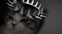 777 Discord Server Banner