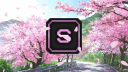 🌸 Discord Server Banner