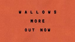 Wallows Discord Server Banner