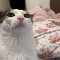 iota // theta Discord Server Banner