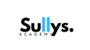 Sully's Academy Discord Server Banner