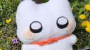 크림묘랑 놀쟈 Discord Server Banner