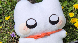크림묘랑 놀쟈 Discord Server Banner