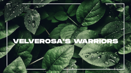 Velverosa's Warriors Discord Server Banner