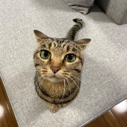 deepfry studios Discord Server Banner